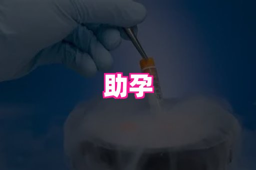 乐乐助孕网 3