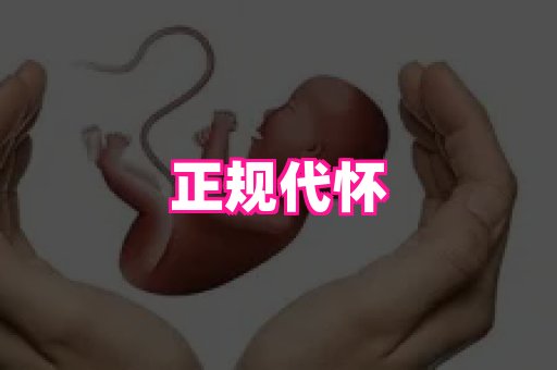 乐乐助孕网 4